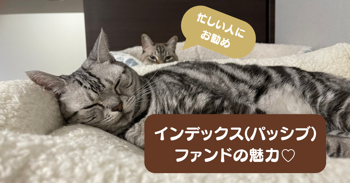 【初心者必見】インデックスファンドとは？おすすめ理由・メリット・人気ファンドを徹底解説