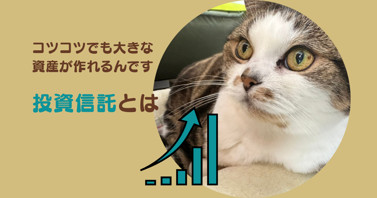 【初心者向け】投資信託とは？仕組み・メリット・複利効果で資産を増やそう！